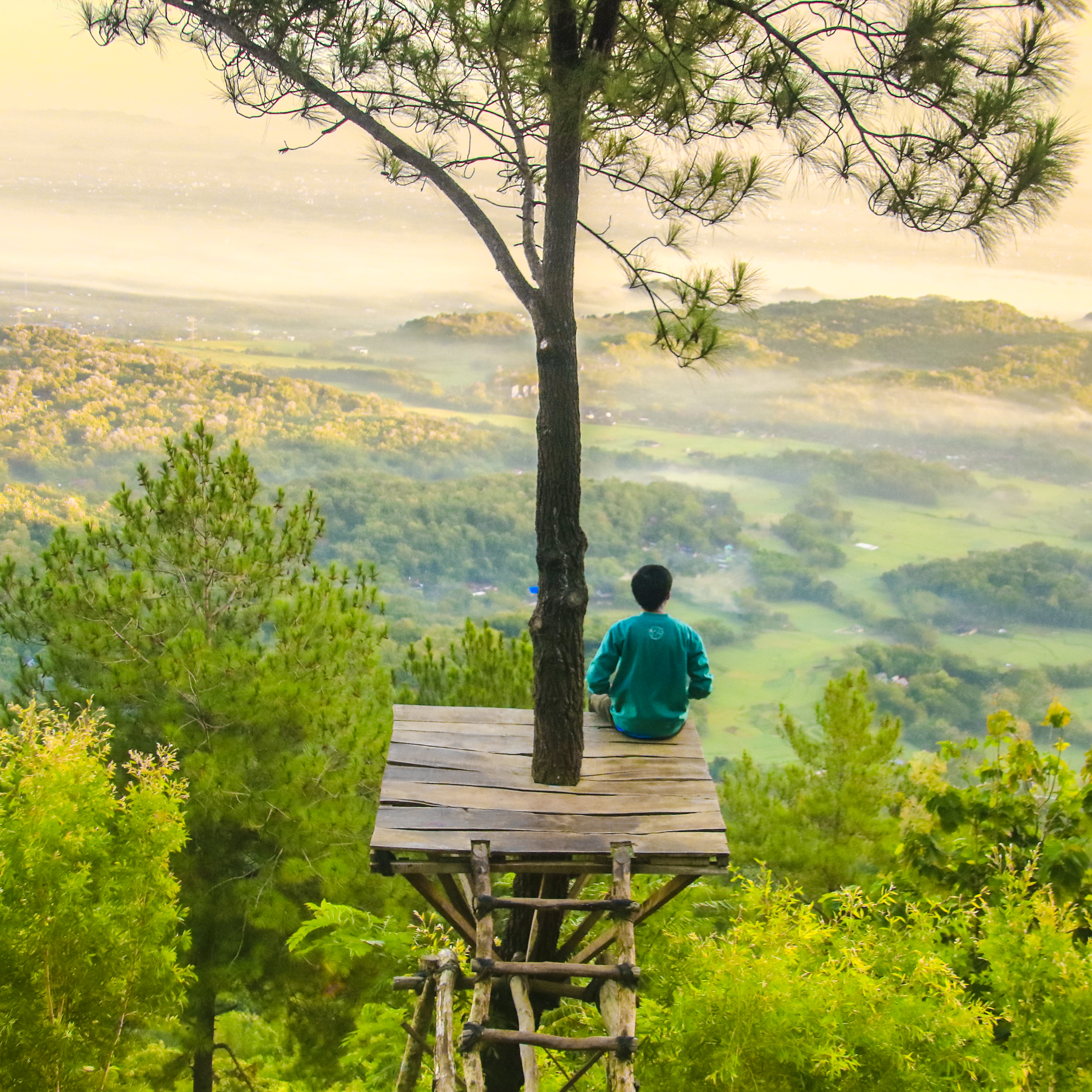 Control emocional. 4 claves para hacer frente a tus emociones